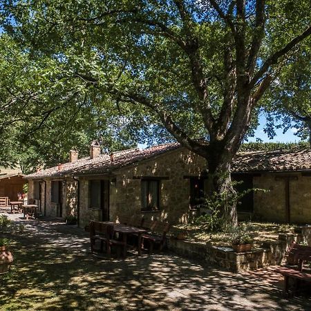 Vila Poggio Cava Sovana Exteriér fotografie