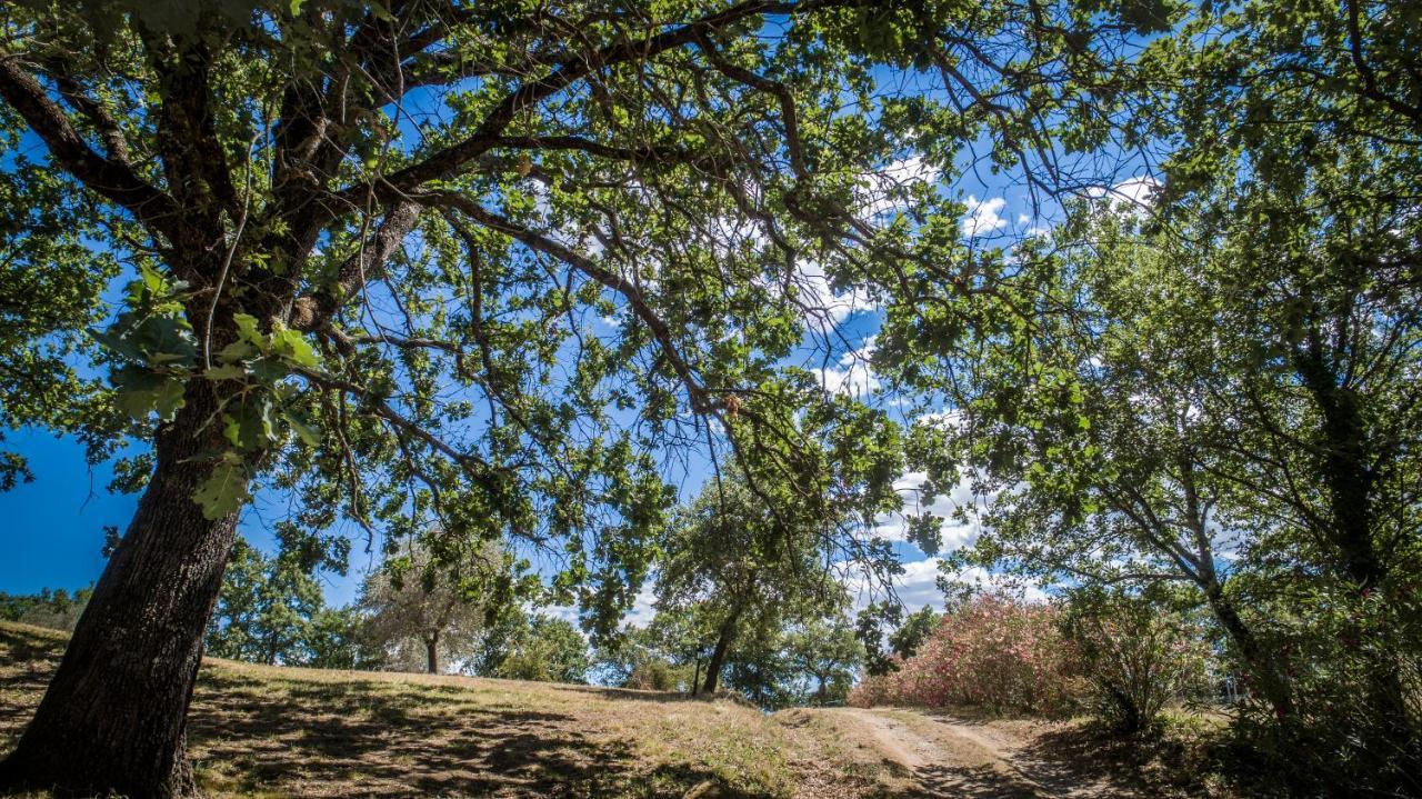 Vila Poggio Cava Sovana Exteriér fotografie